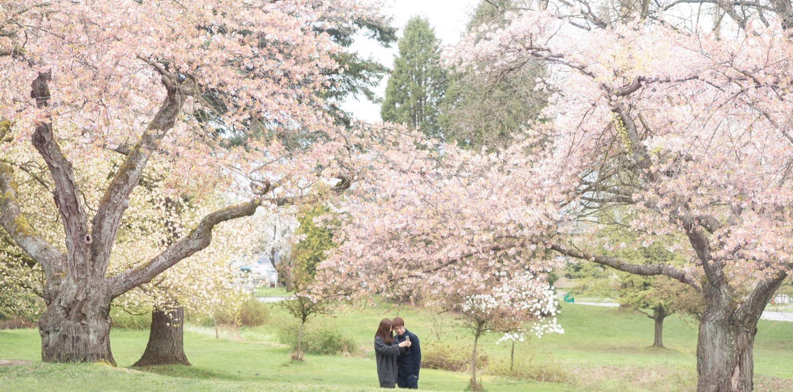 Queen Elizabeth Park